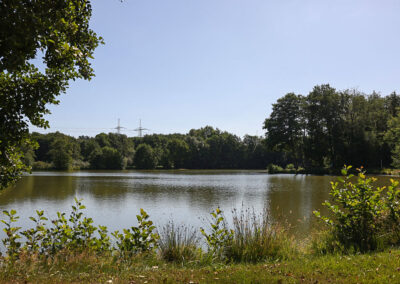 Weiher unter Blauem Himmel