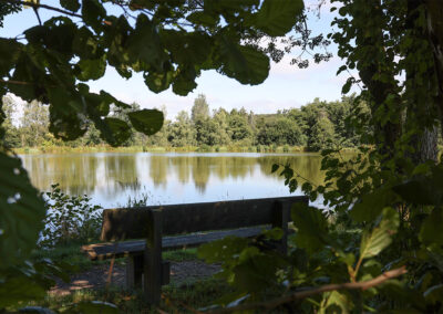 Weiher mit Sitzbank im Vordergrund
